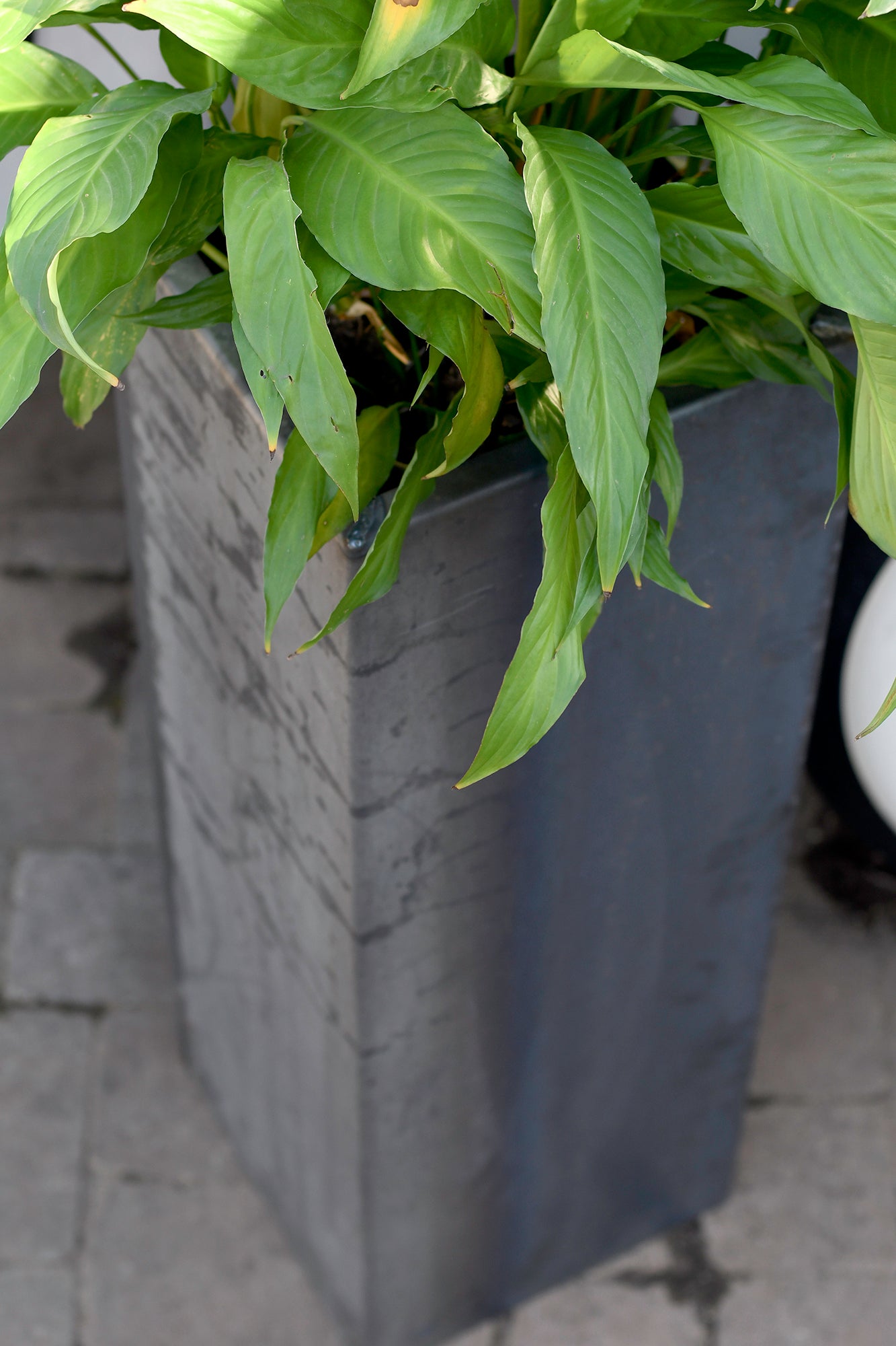 Arcadia Planter Box