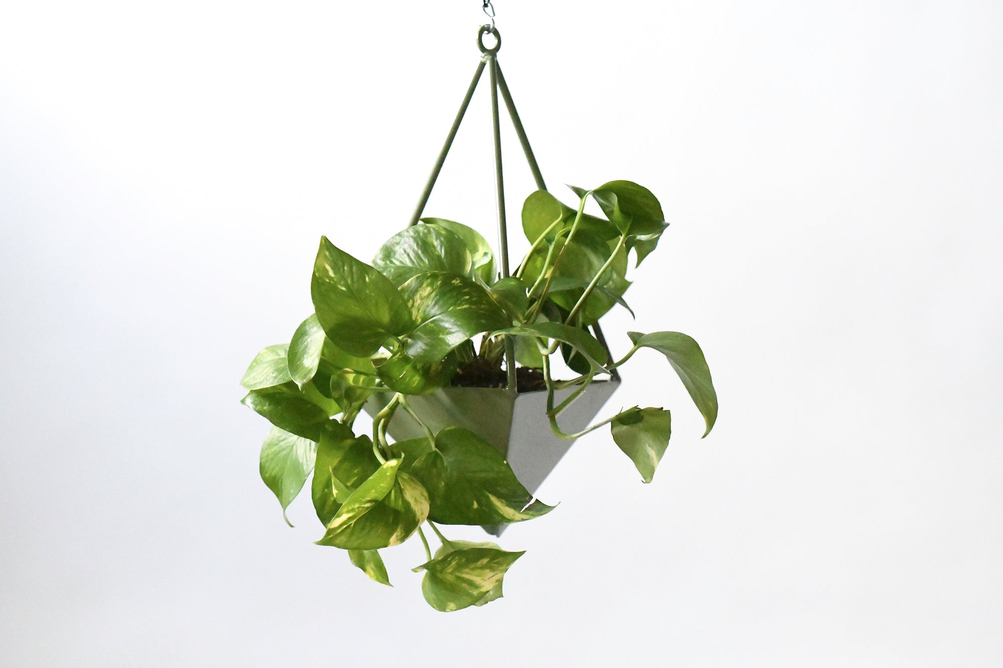 geometric hanging plant holder Pyramid Planter. Geometric Hanging Wall Planter